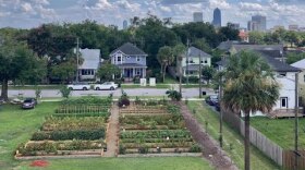 Xotinidan shirin sperma